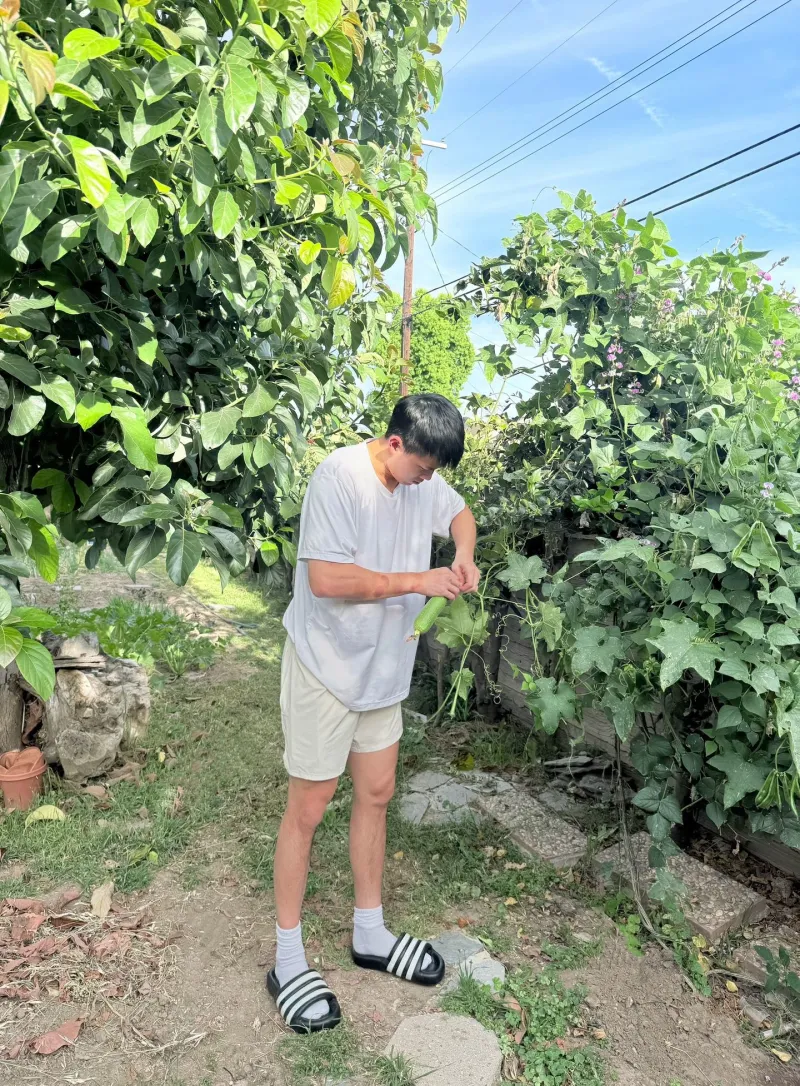 明升体育-留洋球员林葳更新社媒分享生活图集并配文：近期